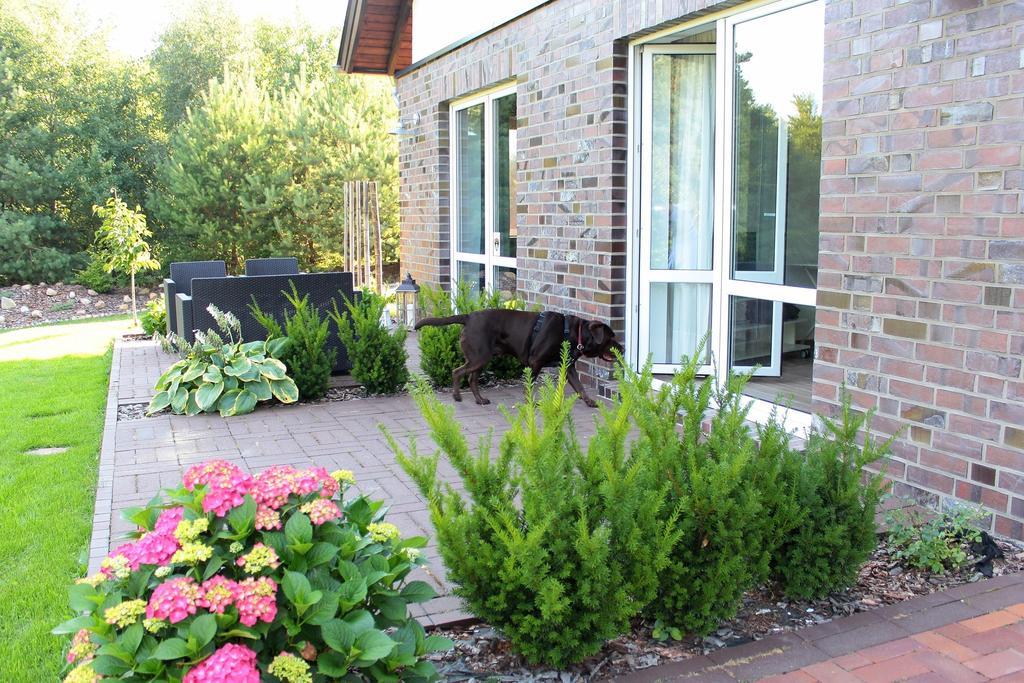 Lesny Apartament Остшице Номер фото